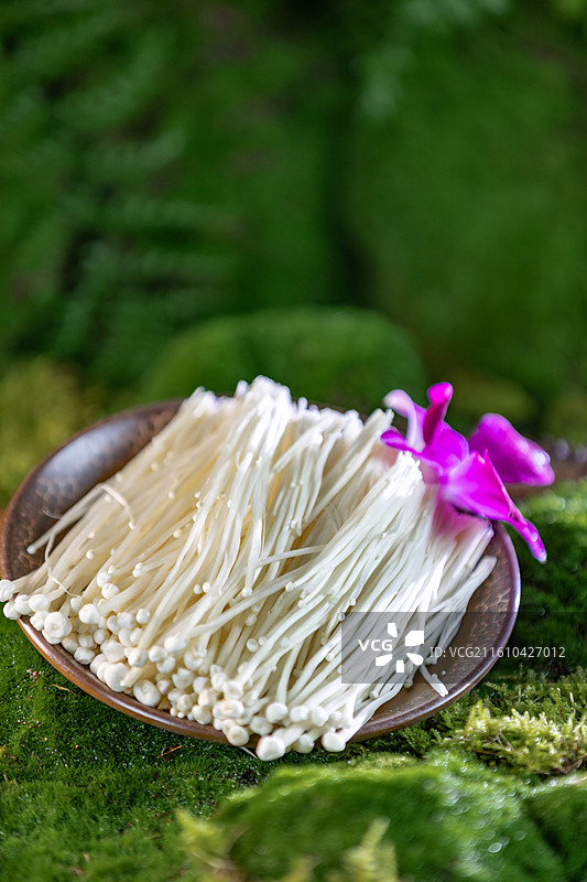 山野风拍摄火锅菜品图片素材