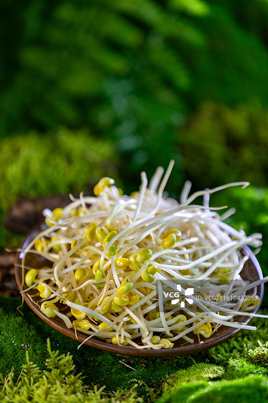 山野风拍摄火锅菜品图片素材