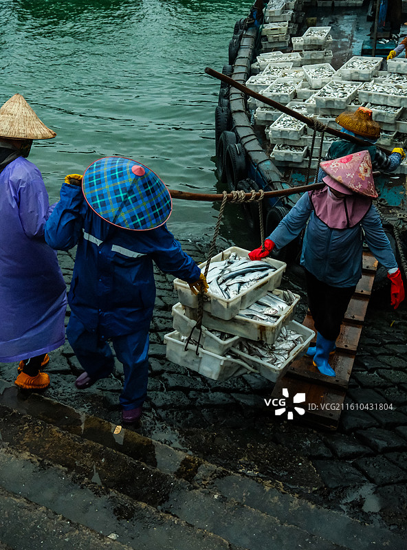 清晨黎明时分，中国海南省儋州市洋浦开发区洋浦湾白马井南斯鱼货码头风光图片素材