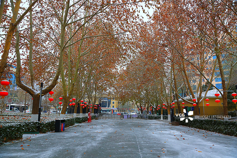 雄安新区雄县美景抓拍图片素材