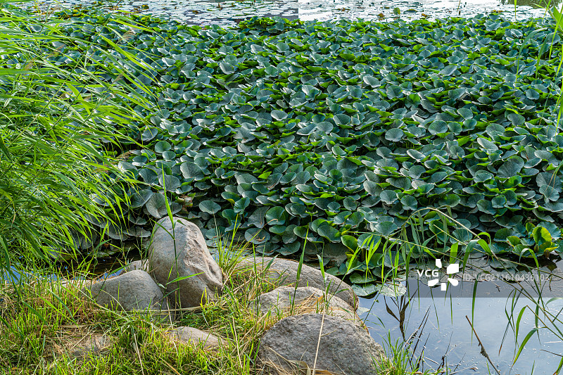 新疆阿克苏 多浪河 城市风光图片素材