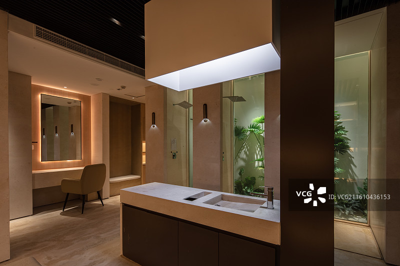 会所洗漱区洗手台与天井绿植空间设计图片素材