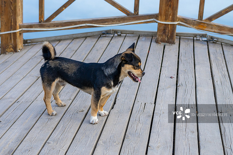 新疆阿克苏 多浪河 城市风光图片素材