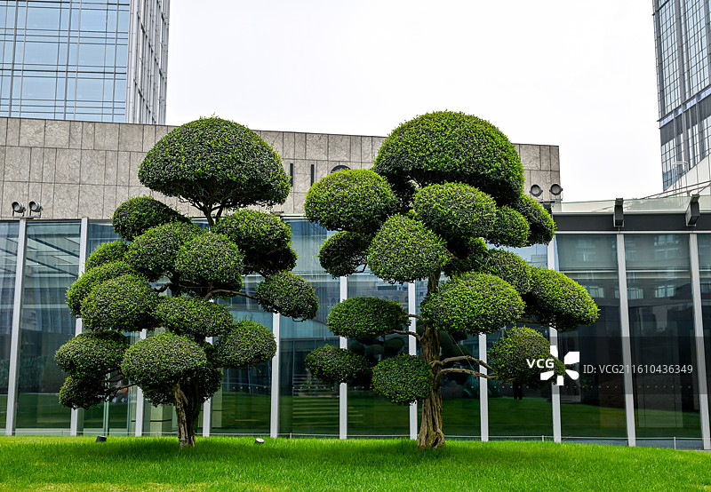 四川省成都市锦江区成都IFS国际金融中心图片素材