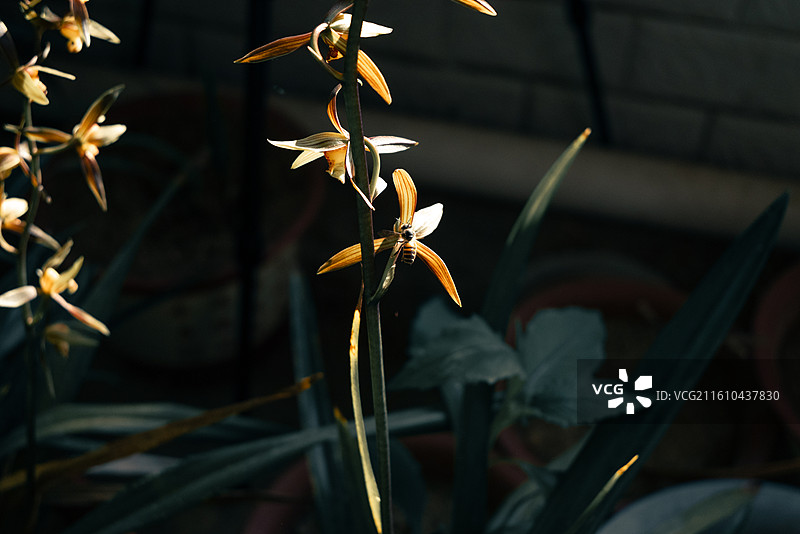 尼康z5拍摄风景图片素材