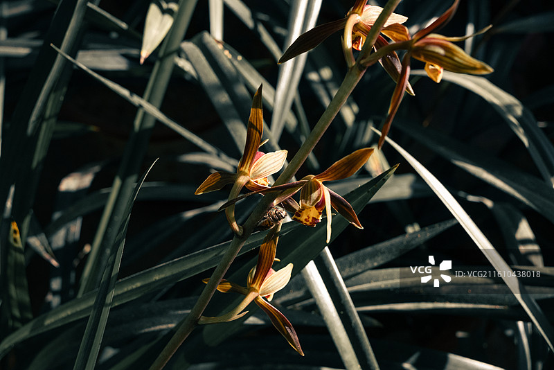 尼康z5拍摄风景图片素材