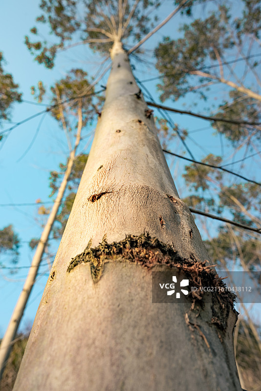 尼康z5拍摄风景图片素材