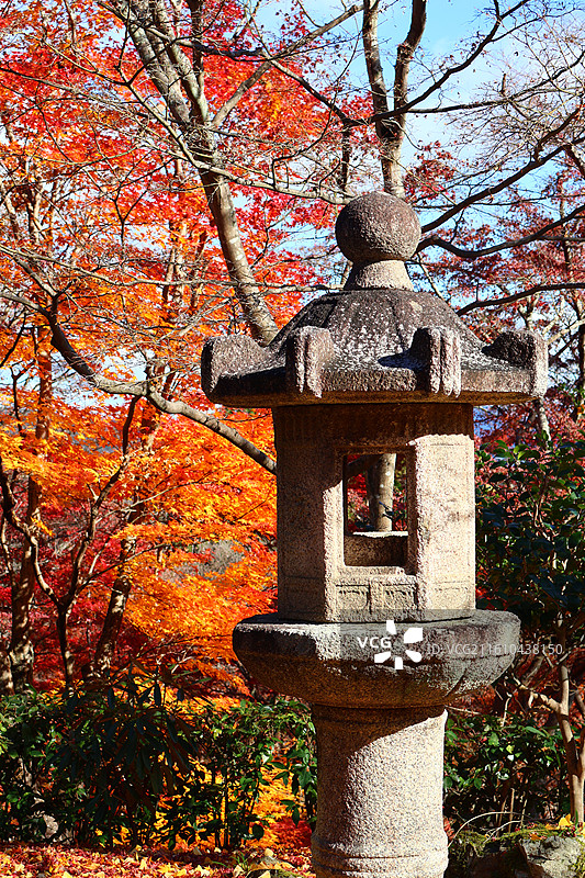 日本红叶季京都岚山常寂光寺里的路灯与红叶图片素材