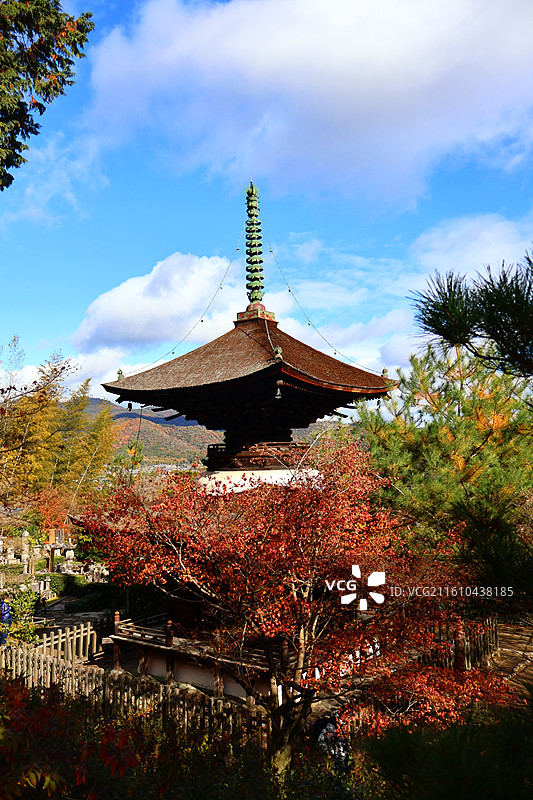 京都岚山常寂光寺多宝塔秋色图片素材