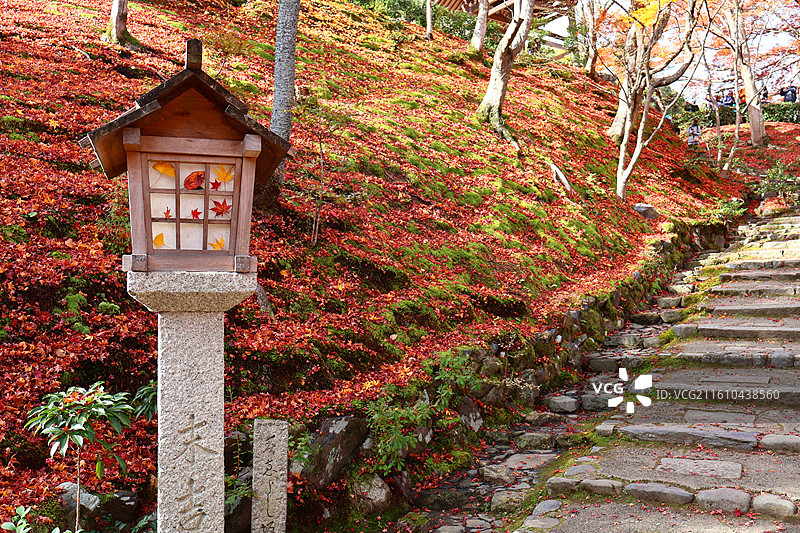 日本红叶季京都岚山常寂光寺里的路灯与红叶图片素材