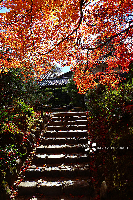 京都红叶季岚山常寂光寺里台阶上的红叶图片素材