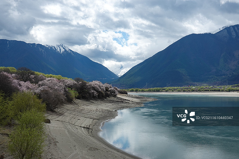 西藏林芝市米林县尼洋河风光带苯日景区苯日神山桃花雪山：林芝桃花节图片素材