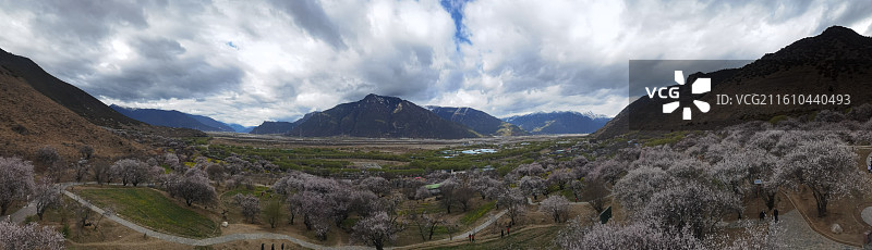西藏林芝市巴宜区嘎拉村桃花油菜花嘎拉桃花村：林芝桃花节主会场图片素材