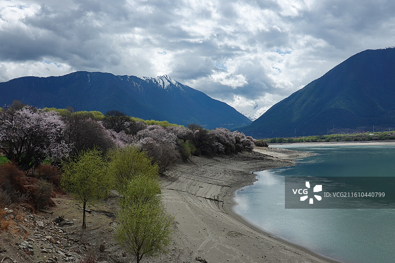西藏林芝市米林县尼洋河风光带苯日景区苯日神山桃花雪山：林芝桃花节图片素材