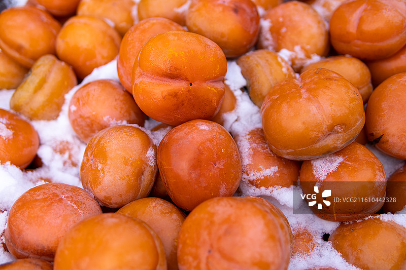 铺在雪上的冻柿子图片素材