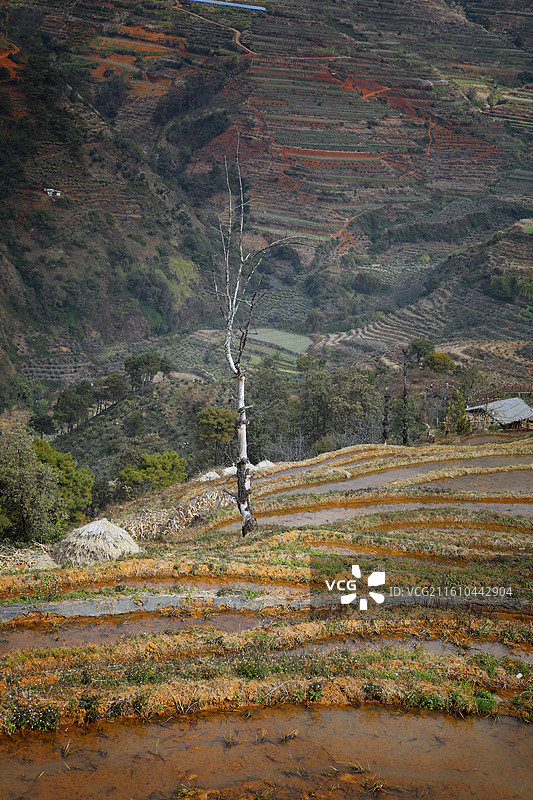 攀枝花米易县“傈僳梯田”景区一景图片素材