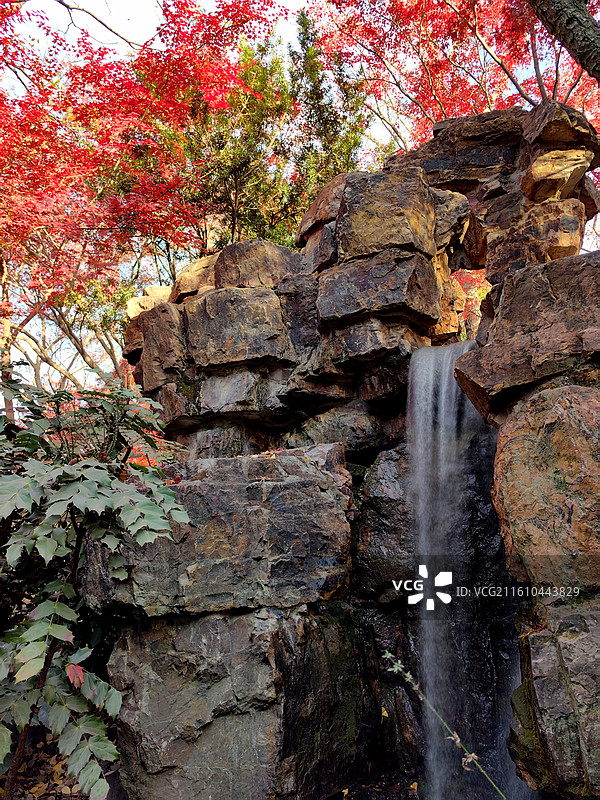 上海市，嘉定区，秋霞圃图片素材