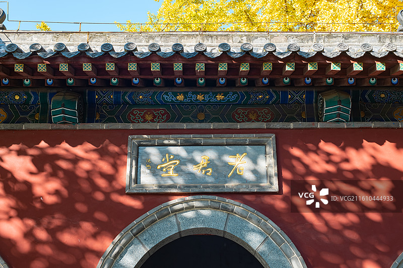 中国山东泰安泰山旅游著名景点老君堂自然风光拍摄主题，银杏树和古代建筑，户外白昼无人图像摄影图片素材