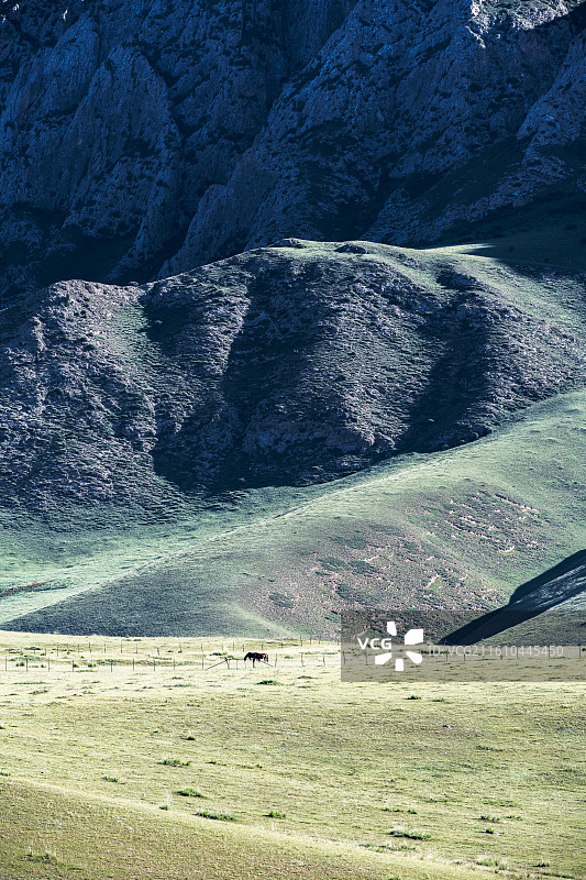 阳光下甘南草原山下牧场放养的马图片素材