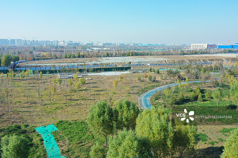 碧水连天映霞光，野鸭掠舞芦花黄 俯身临岸观舟远，银杏红叶风里扬  千岛万湖织洋淀，生态画卷韵悠长图片素材
