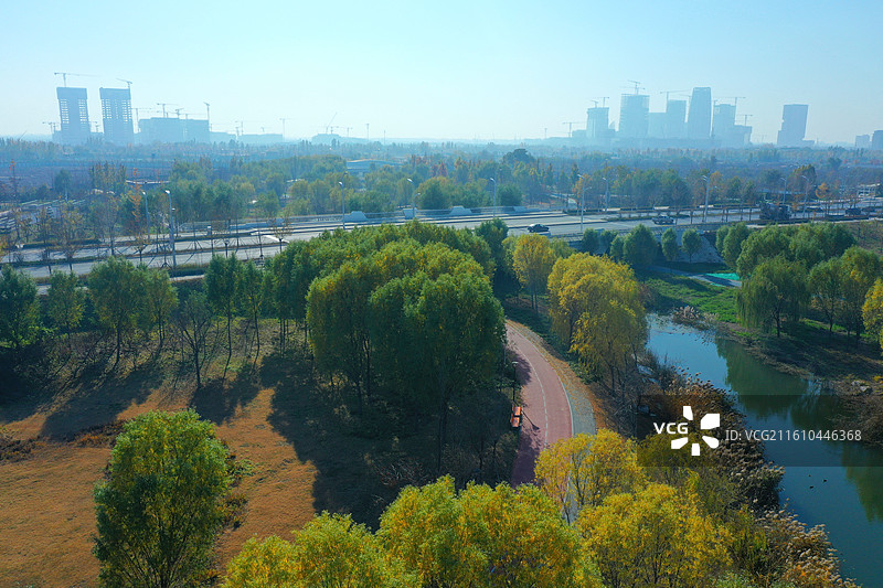 碧水连天映霞光，野鸭掠舞芦花黄 俯身临岸观舟远，银杏红叶风里扬  千岛万湖织洋淀，生态画卷韵悠长图片素材