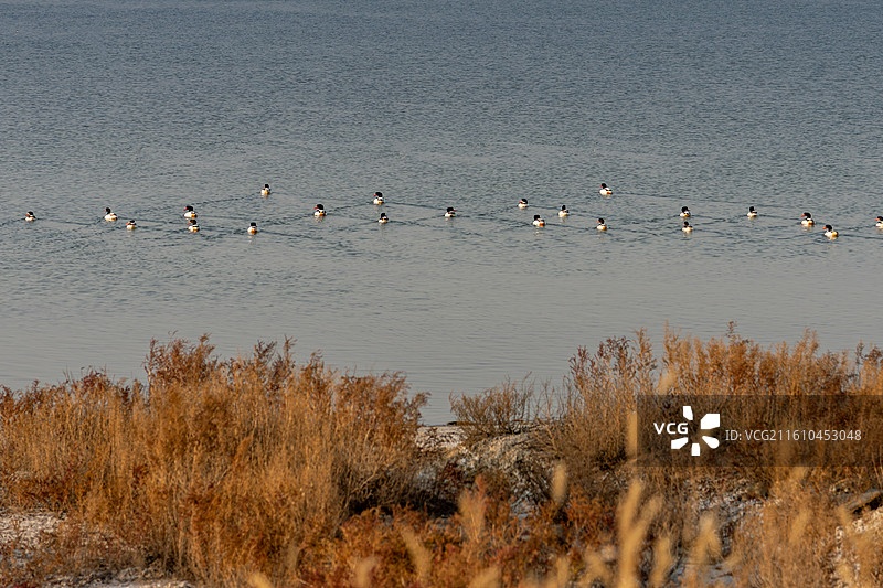 中国死海盐湖运城盐湖图片素材