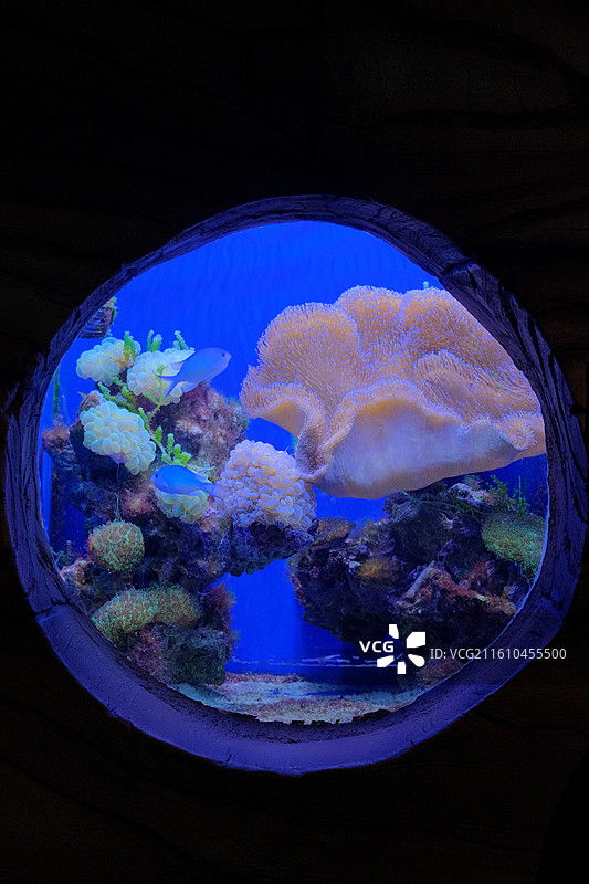 杭州长乔极地海洋公园图片素材