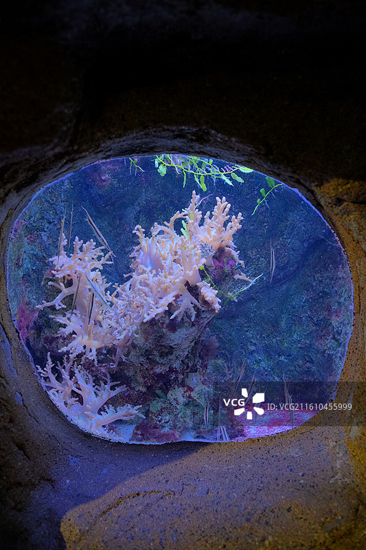 杭州长乔极地海洋公园图片素材