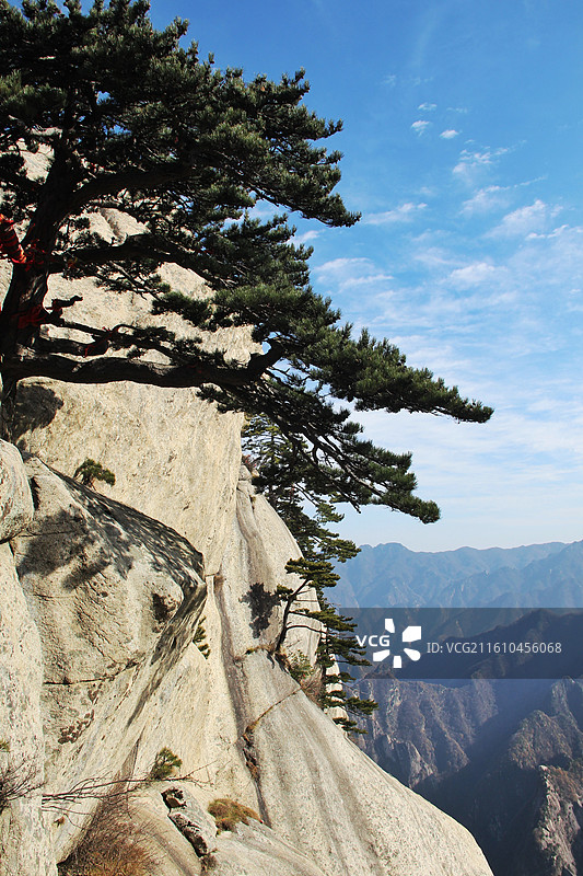 华山迎客松：拍摄于华山北峰。图片素材