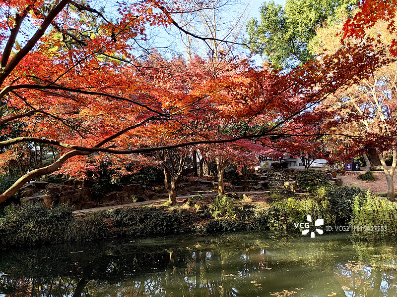 上海市，嘉定区，秋霞圃图片素材