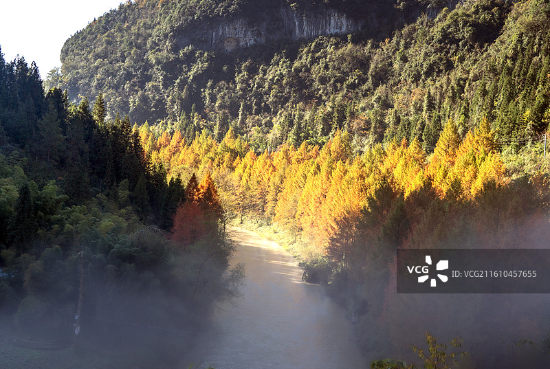 利川腾龙洞彩林图片素材