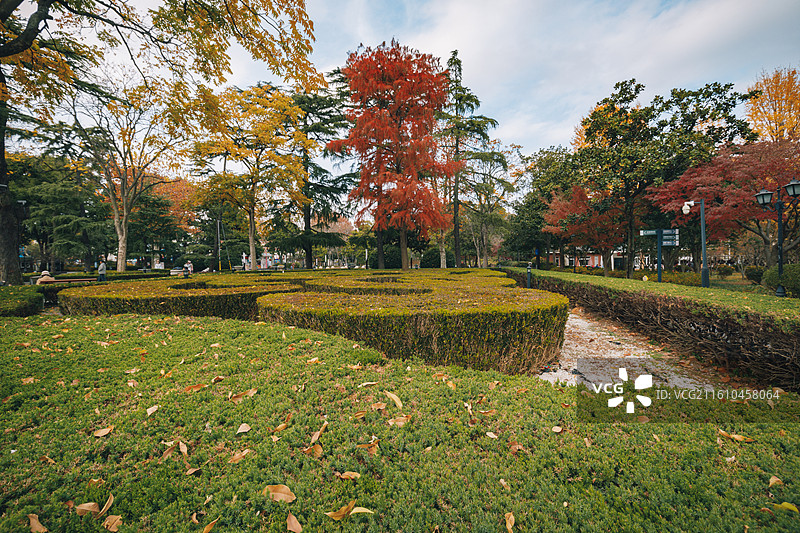 江苏省苏州市姑苏区  秋冬节气下的苏州公园图景图片素材