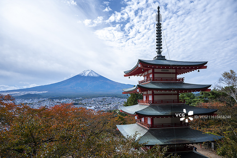 日本富士河口湖町，秋天吉田市新仓山浅间公园远眺富士山，红叶，枫叶，五重塔，鸟居图片素材