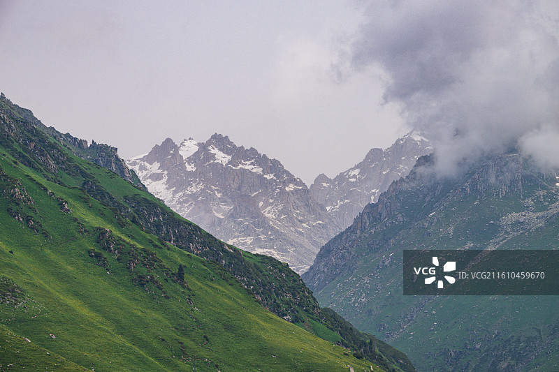 新疆唐布拉草原图片素材