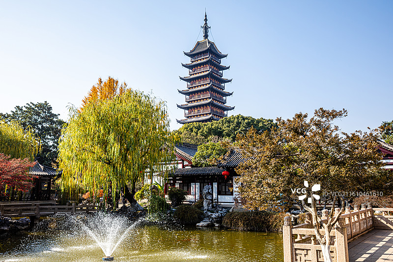 常熟方塔园秋季银杏黄图片素材