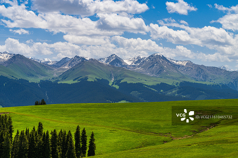 唐布拉草原图片素材