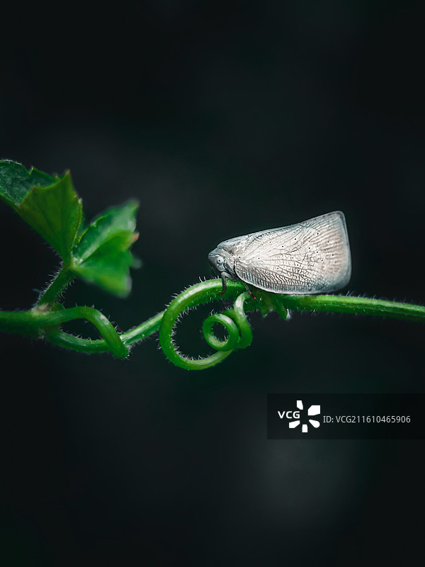 梦的远方图片素材