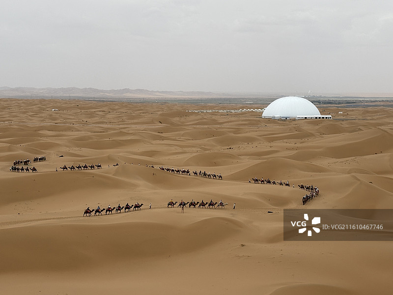 沙漠驼队图片素材