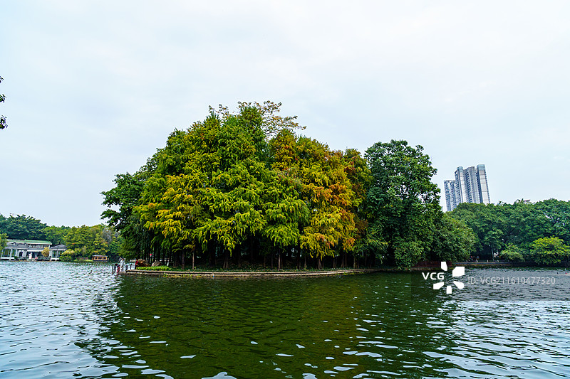 广州荔枝湾景区，，广州西关风情图片素材