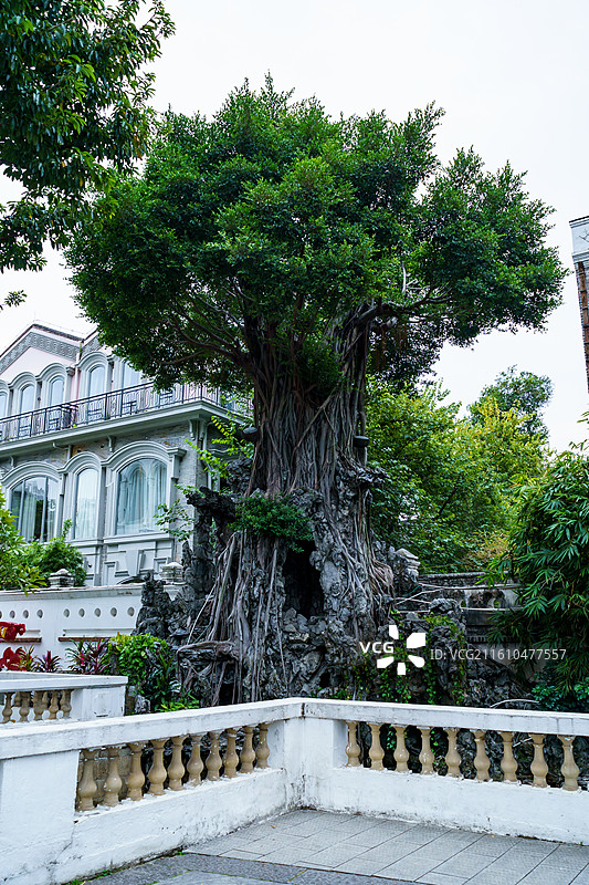 广州荔枝湾景区，，广州西关风情图片素材
