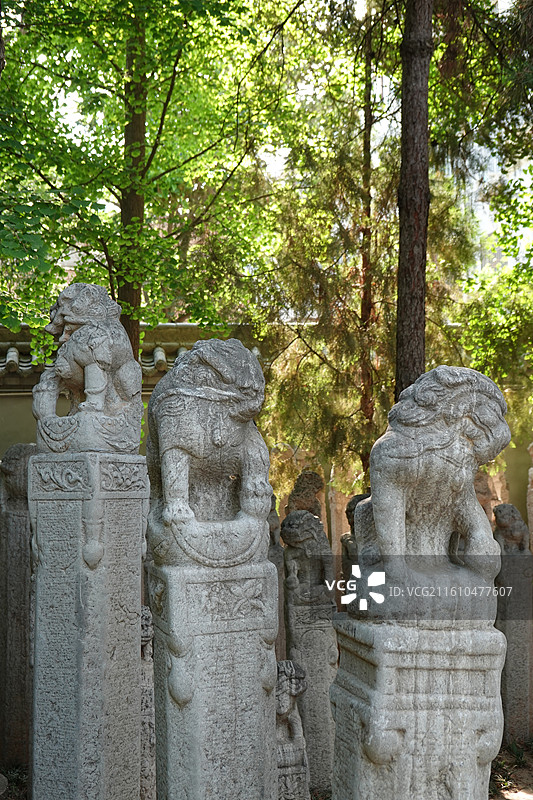 陕西省咸阳市咸阳文庙咸阳博物院：拴马桩图片素材