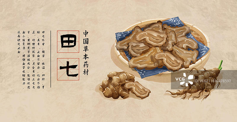 中国文化之中草药药材 田七 插画海报图片素材