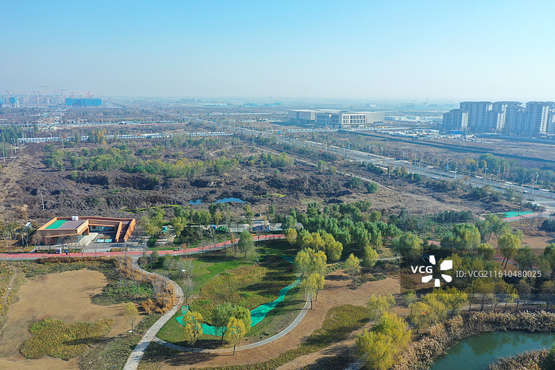 碧水连天映霞光，野鸭掠舞芦花黄  俯身临岸观舟远，银杏红叶风里扬  千岛万湖织洋淀，生态画卷韵悠长图片素材