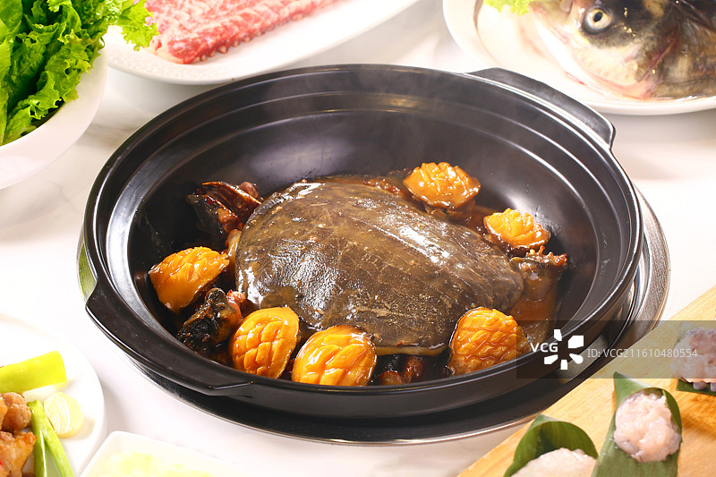 鲜鲍焖甲鱼 甲鱼焖鲜鲍 黄焖甲鱼 红煨甲鱼 鲍鱼烧甲鱼 红焖甲鱼 红烧甲鱼 甲鱼烧鲍鱼 烧鲍鱼 鲍鱼图片素材