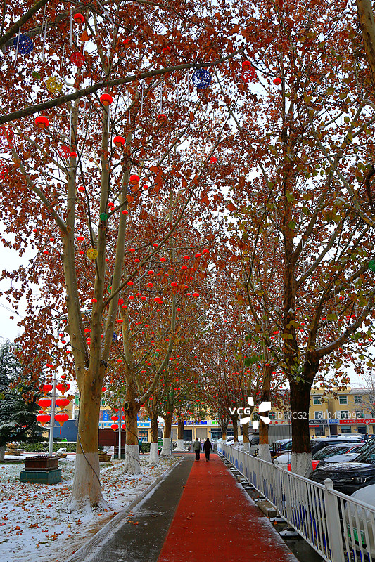 雄安新区雄县美景抓拍图片素材