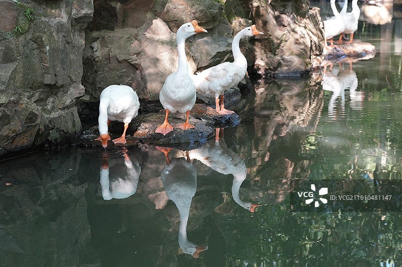 绍兴兰亭图片素材