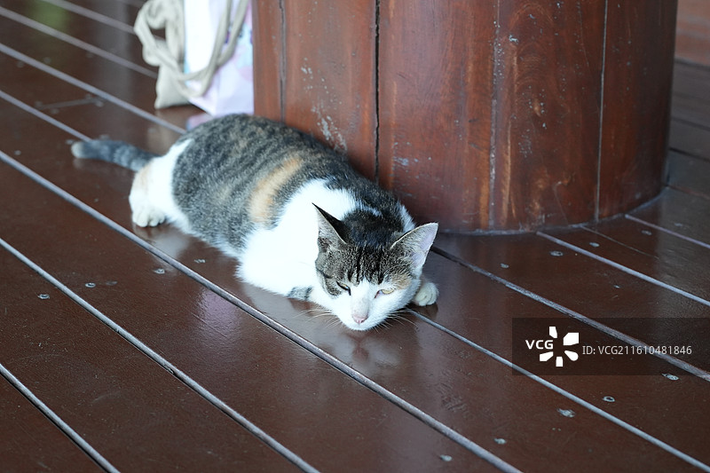 绍兴兰亭图片素材