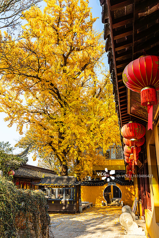 石壁永慧禅寺的秋天图片素材