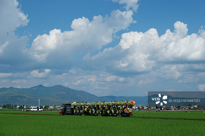 云南大理洱海喜洲古镇：夏天的喜洲稻田小火车图片素材
