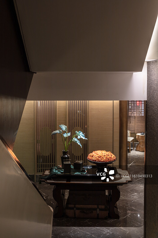 高端养生会所中庭端景与静态陈设空间图片素材